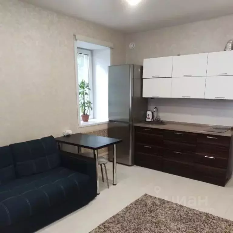 Студия Новосибирская область, Новосибирск ул. Никитина, 101 (25.0 м) - Фото 0