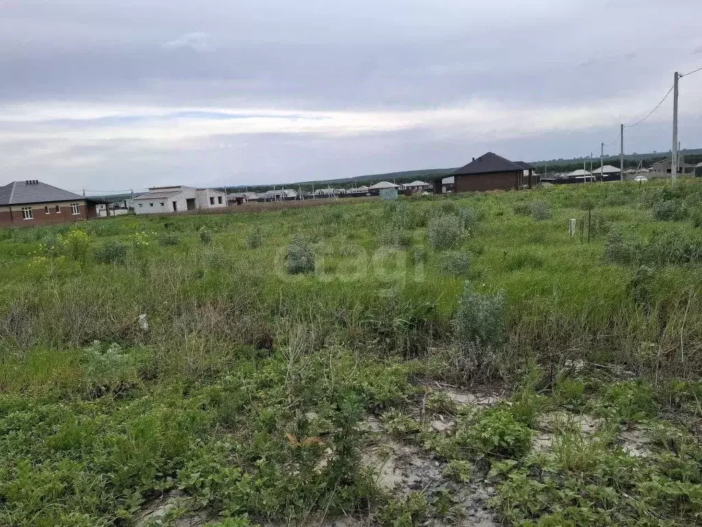 Участок в Белгородская область, Белгородский район, Разумное рп, ... - Фото 1