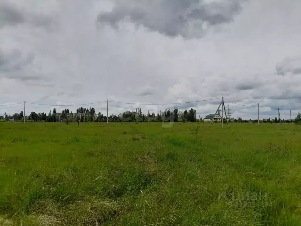 Участок в Саратовская область, Балашовский район, Хоперское ... - Фото 0