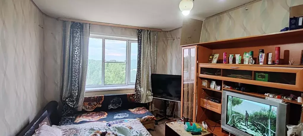 Комната Коми, Сыктывкар Строитель мкр, ул. Молодежная, 6 (17.0 м) - Фото 1