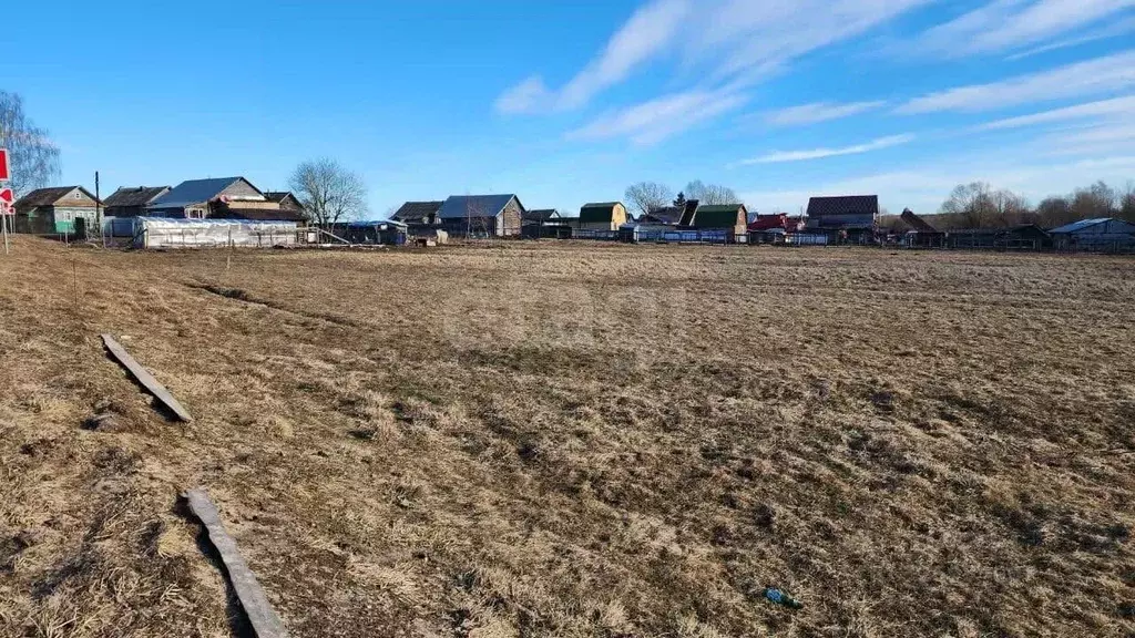 Участок в Тверская область, Рамешковский муниципальный округ, д. ... - Фото 2