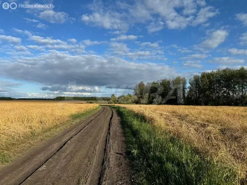 Участок в Тюменский район, Горьковское муниципальное образование (7 м) - Фото 1