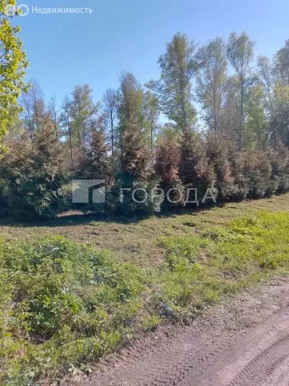 Участок в Морозовский сельсовет, СПК Успех, 3/1-7 (11 м) - Фото 1