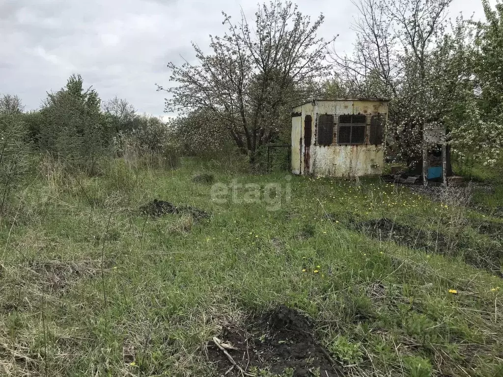 Участок в Мордовия, Саранск городской округ, пос. Озерный, Озерное СНТ ... - Фото 0