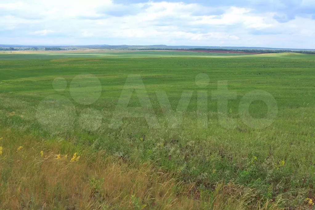 Участок 241 га (СНТ, ДНП) - Фото 0