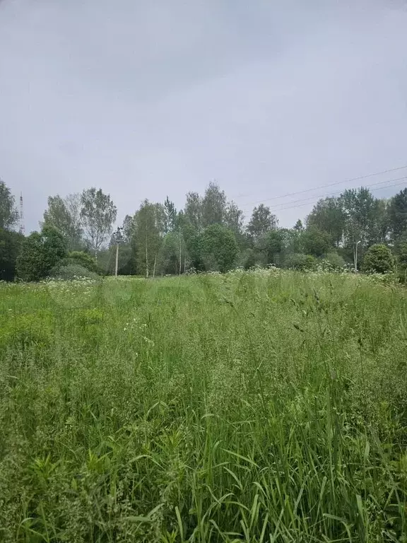 Участок 15 сот. (ИЖС) - Фото 0