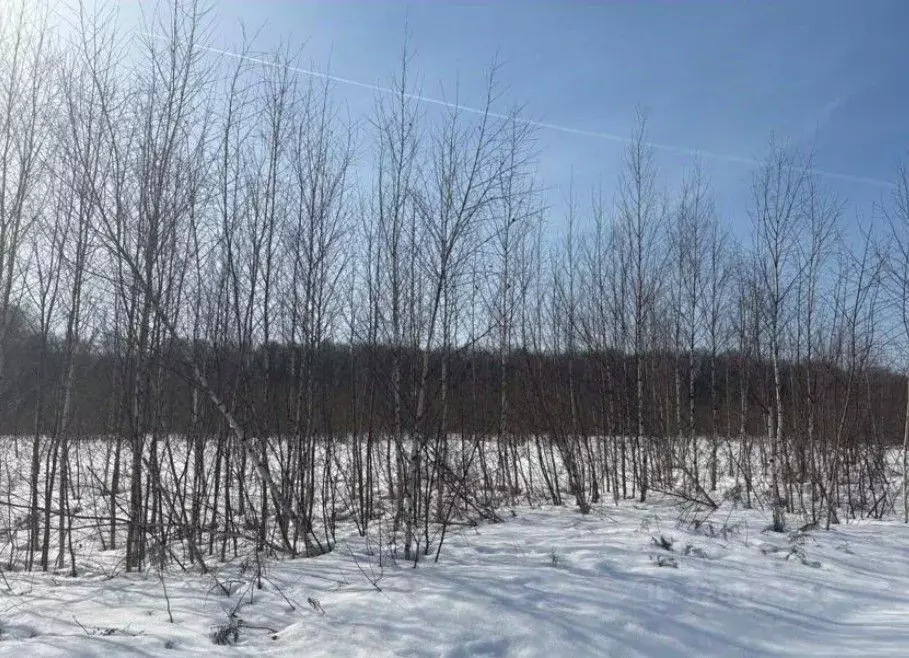 Участок в Московская область, Бронницы  (10.0 сот.) - Фото 1