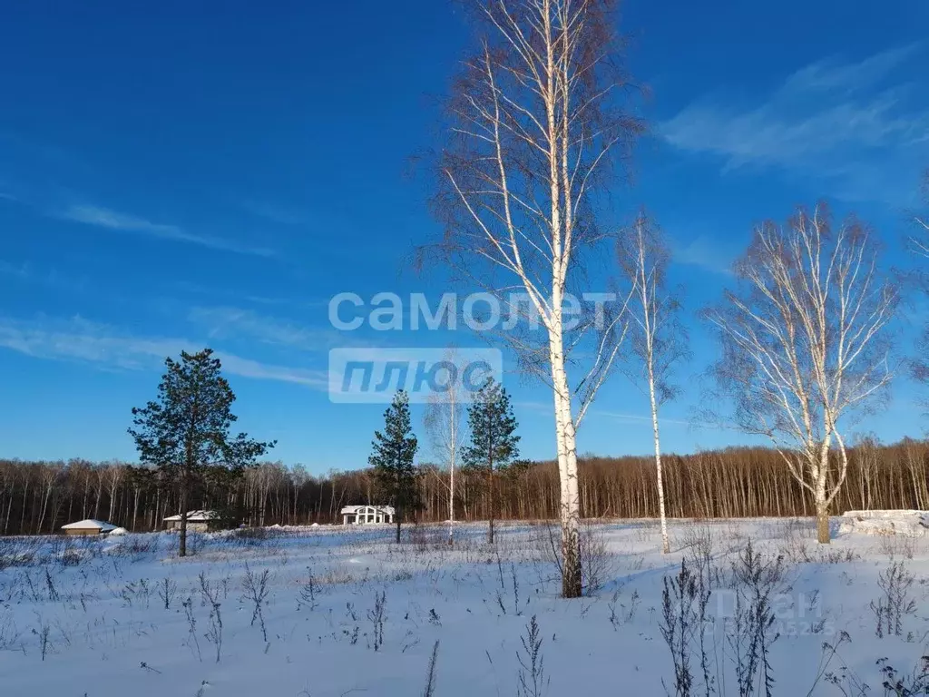 Участок в Калужская область, Калуга городской округ, д. Сивково  (8.0 ... - Фото 2