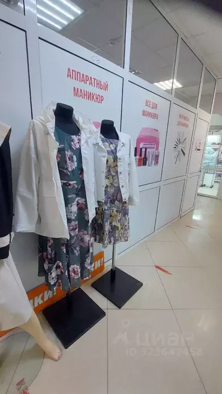 Торговая площадь в Владимирская область, Владимир Добросельская ул., ... - Фото 2