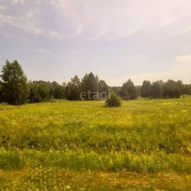 Участок в Владимирская область, Муром д. Коржавино, ул. Лесная, 8 ... - Фото 1