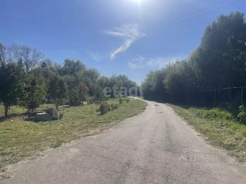 Участок в Мордовия, Кочкуровский район, с. Подлесная Тавла  (28.3 ... - Фото 1