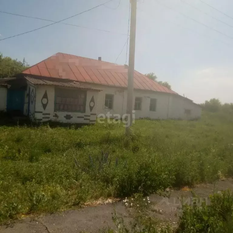 Купить Дом В Селе Елецкое