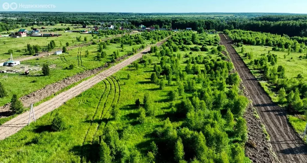 Участок в Московская область, Раменский муниципальный округ, КП Лесная ... - Фото 2