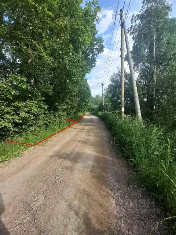 Участок в Ленинградская область, Приозерский район, Ларионовское ... - Фото 1