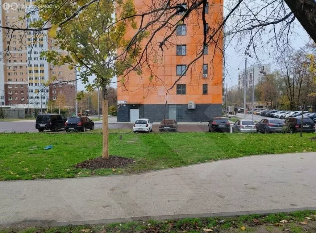 Помещение свободного назначения (116 м) - Фото 2