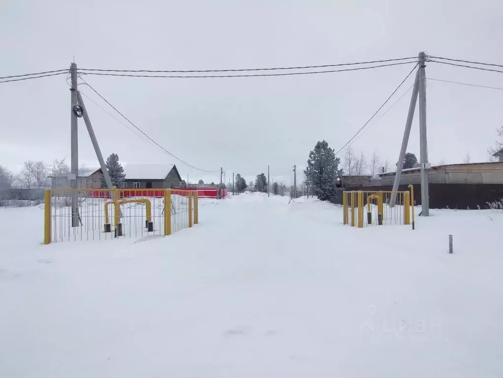 Участок в Ямало-Ненецкий АО, Новый Уренгой ул. Сурикова, 25 (6.0 сот.) - Фото 2