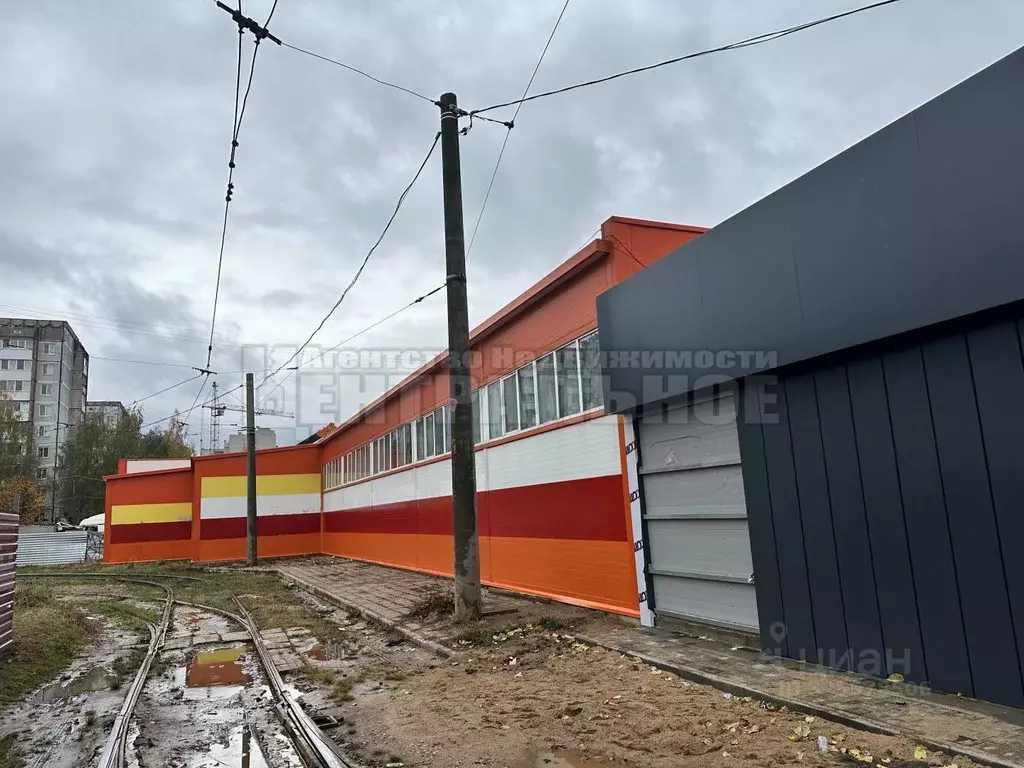 Торговая площадь в Смоленская область, Смоленск ул. Багратиона, 25/10 ... - Фото 1