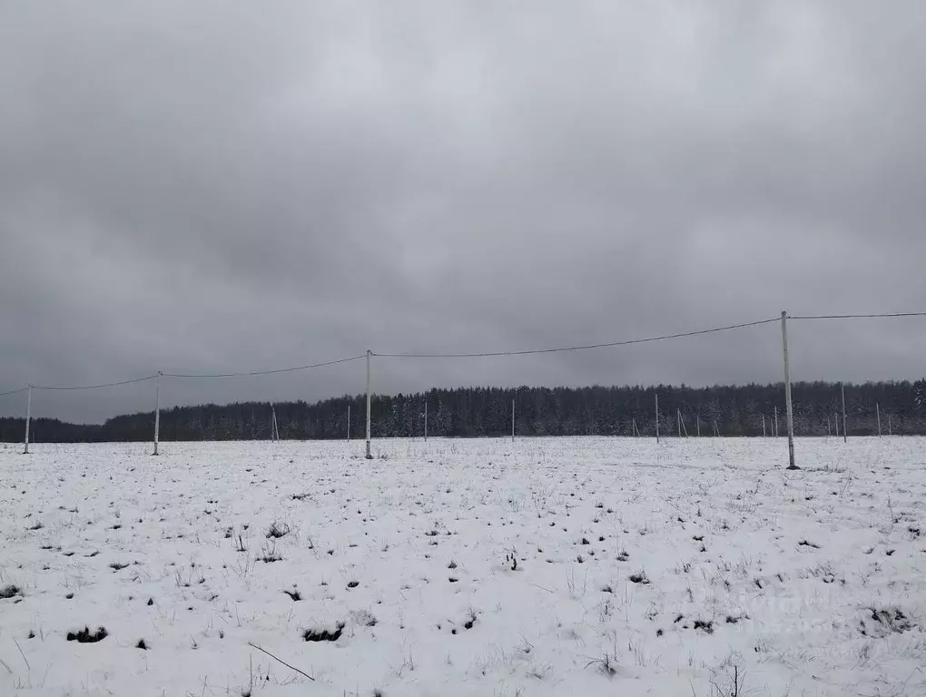 Участок в Московская область, Дмитровский городской округ, Раменье дп  ... - Фото 0