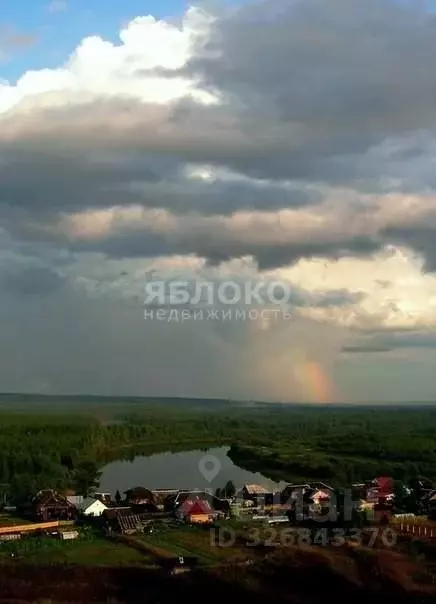 Участок в Пермский край, Березники муниципальный округ, д. Белая Пашня ... - Фото 2