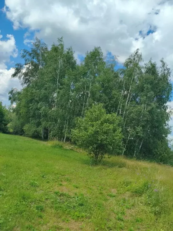 Участок в Московская область, Шатура муниципальный округ, Черусти пгт ... - Фото 0