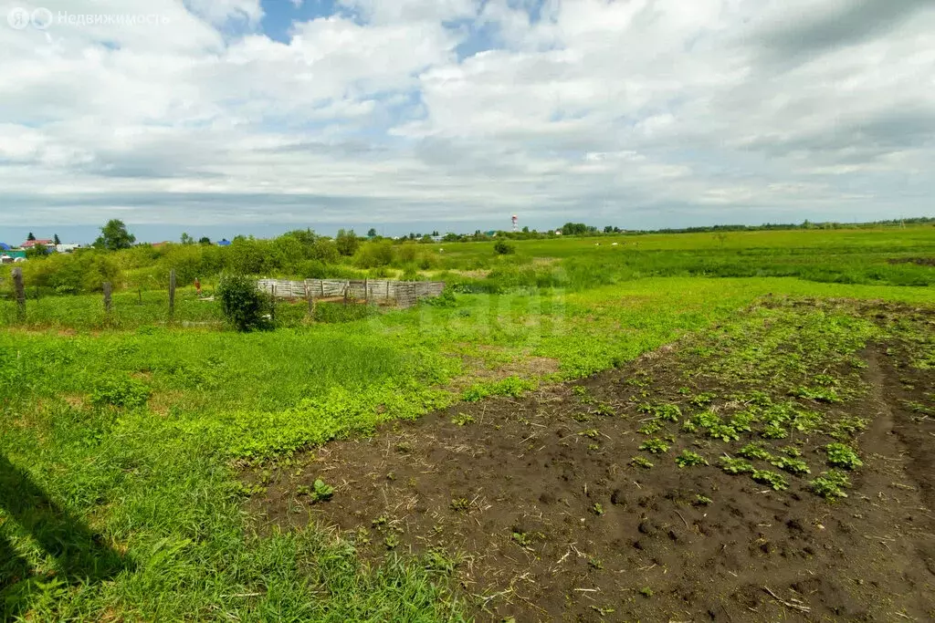 Участок в Ялуторовск, Сельская улица (23 м) - Фото 1