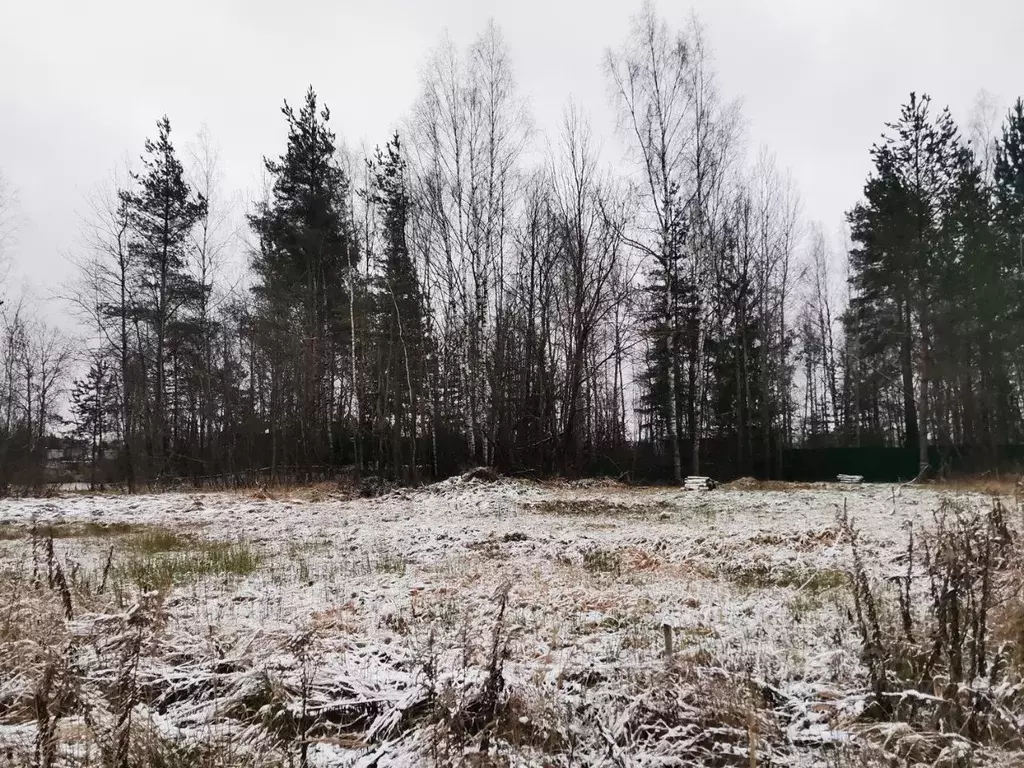 Участок в Ивановская область, Ивановский район, с. Ново-Талицы ул. ... - Фото 1