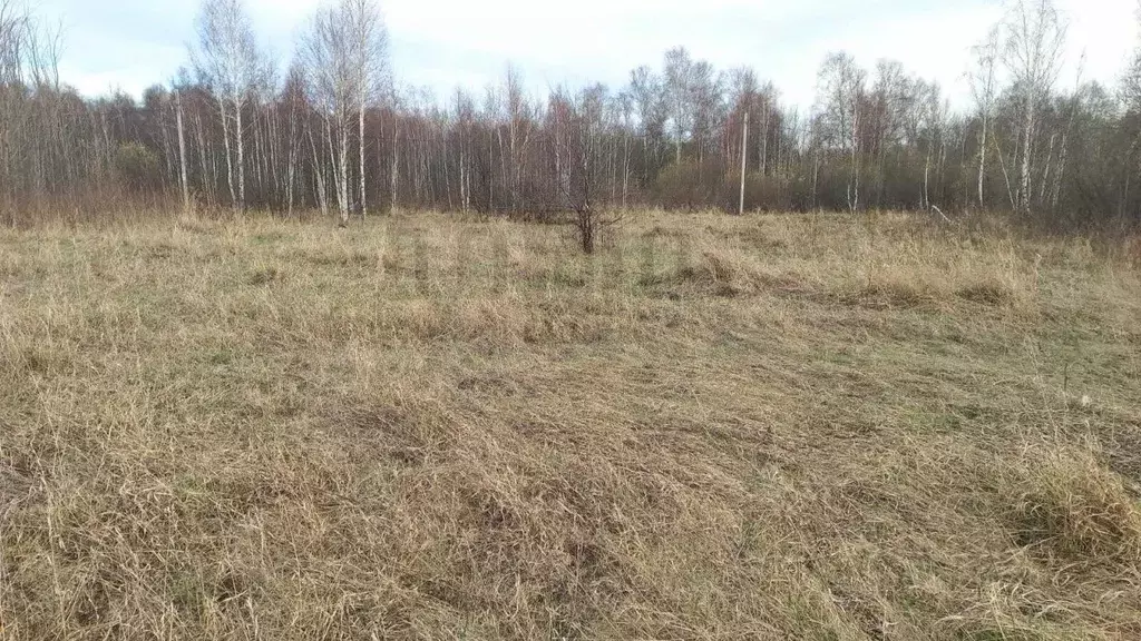 Участок в Свердловская область, Белоярский муниципальный округ, пос. ... - Фото 0