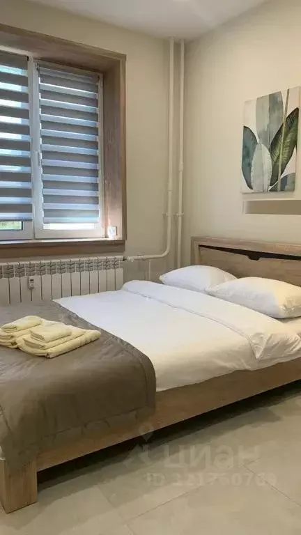 Студия Архангельская область, Архангельск Советская ул., 40к1 (18.0 м) - Фото 2