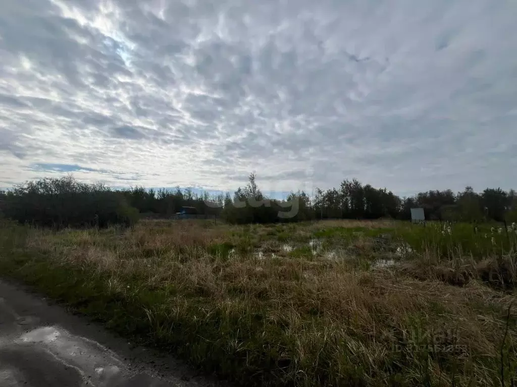 Участок в Московская область, Орехово-Зуево ул. Владимирская (25.0 ... - Фото 0