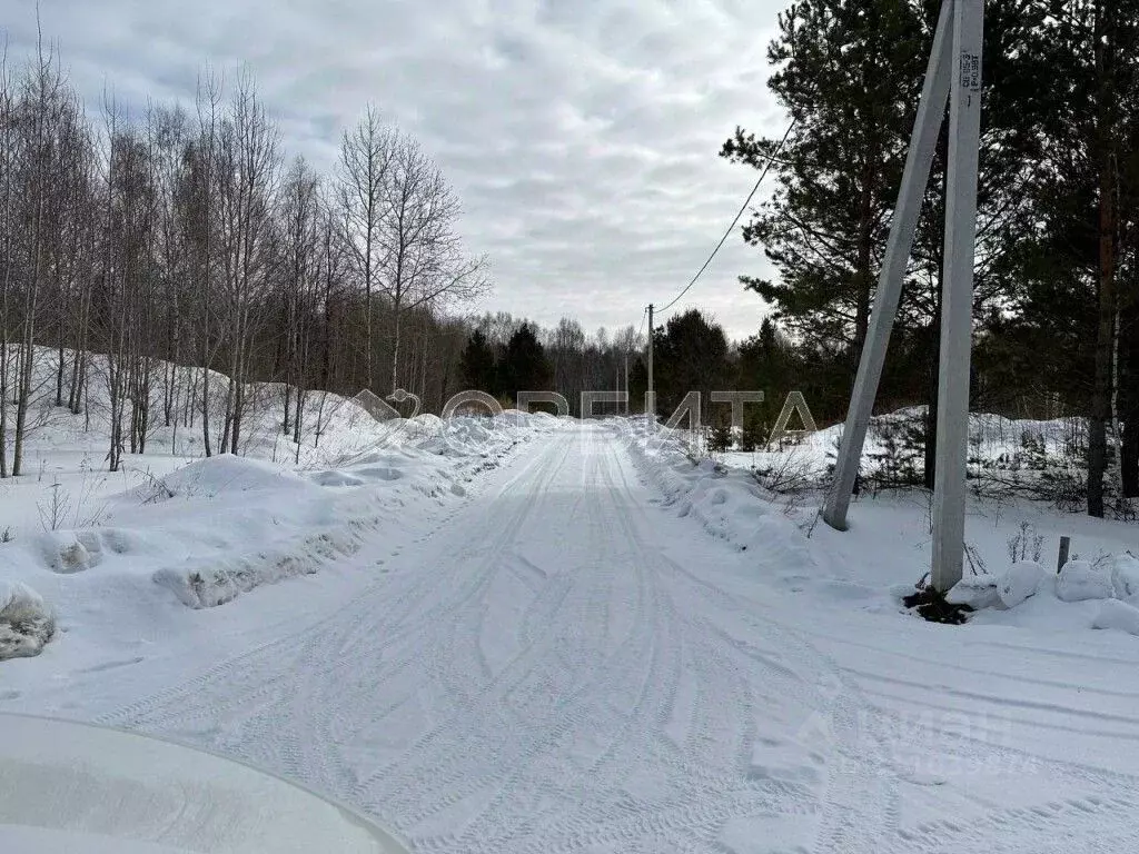 Участок в Тюменская область, Нижнетавдинский район, с. Тюнево  (15.0 ... - Фото 1