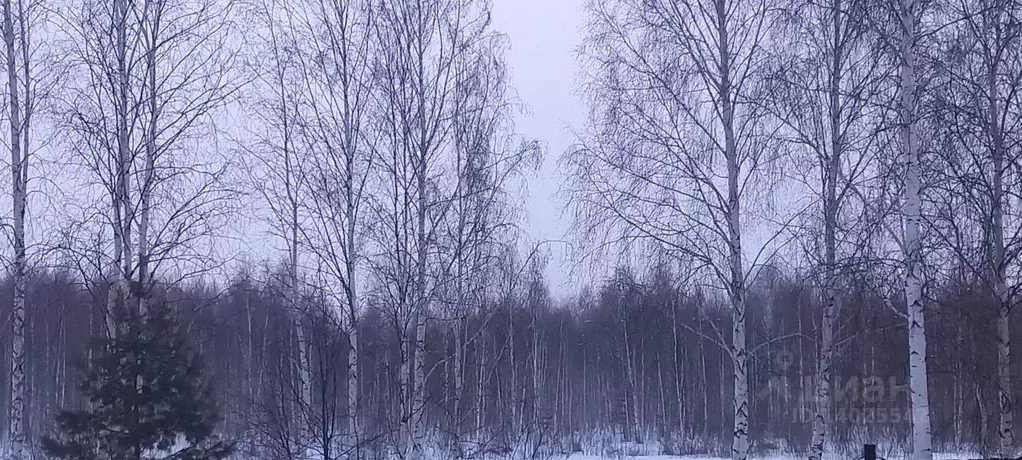 Участок в Свердловская область, Верхняя Пышма  (10.0 сот.) - Фото 1