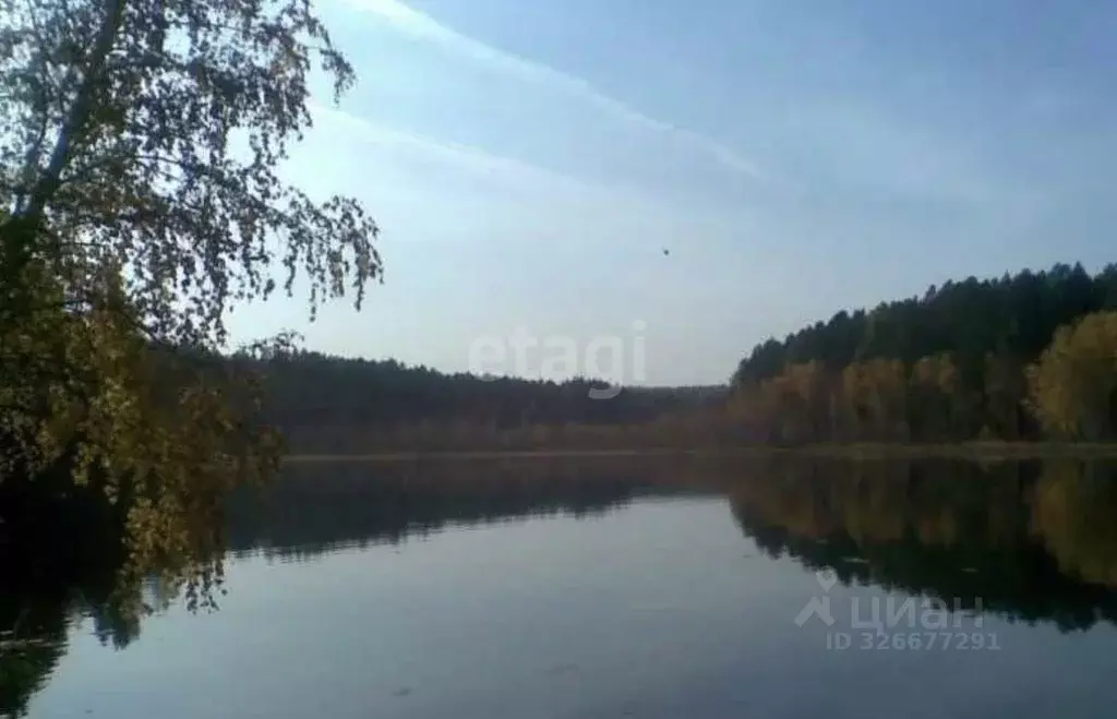 Участок в Иркутская область, Иркутский муниципальный округ, Михалево ... - Фото 2