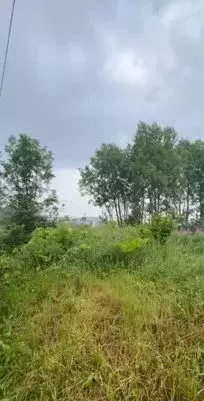 Участок в Московская область, Щелково городской округ, д. Назимиха  ... - Фото 1