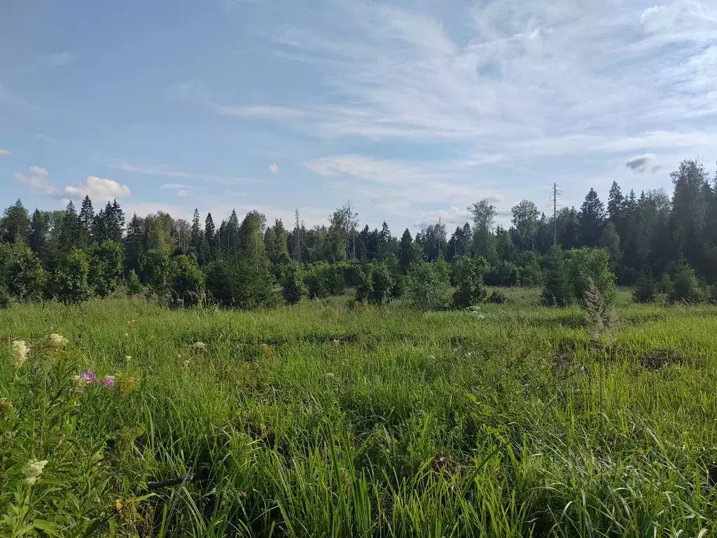 Участок в Московская область, Клин городской округ, Поляна СНТ  (90.0 ... - Фото 0