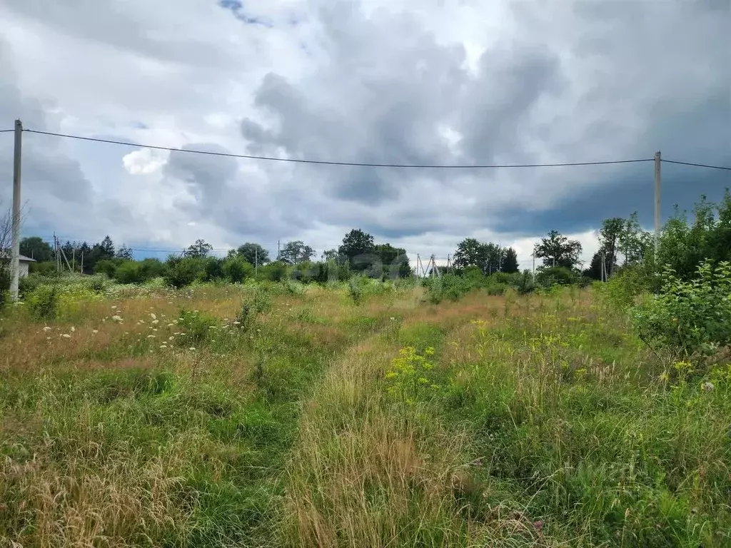 Участок в Калининградская область, Багратионовский муниципальный ... - Фото 2