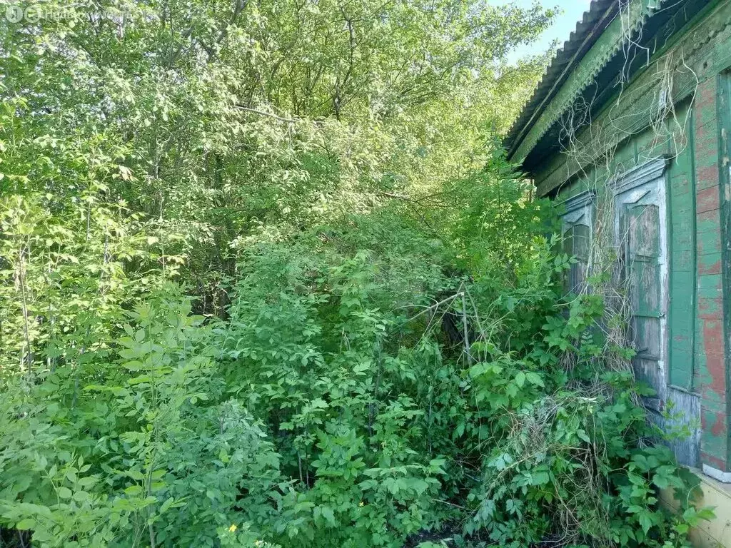 Участок в Балашов, улица Тараканова (2.5 м) - Фото 1