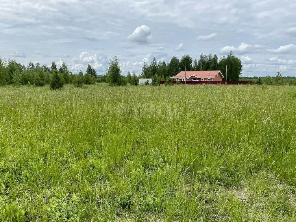 Участок в Ярославская область, Некрасовский муниципальный округ, ... - Фото 0