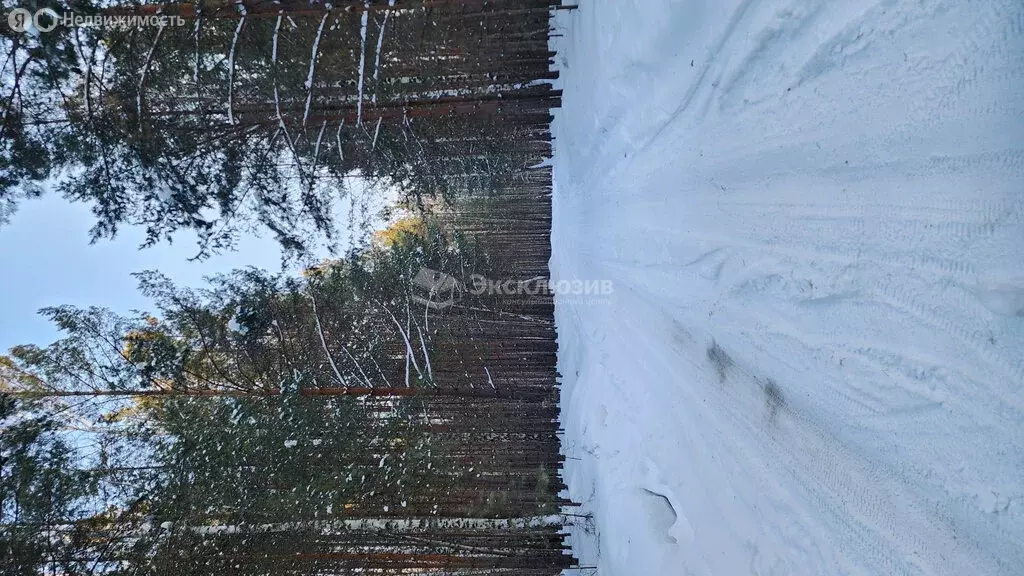 Участок в Тюмень, Ямская улица (8 м) - Фото 1