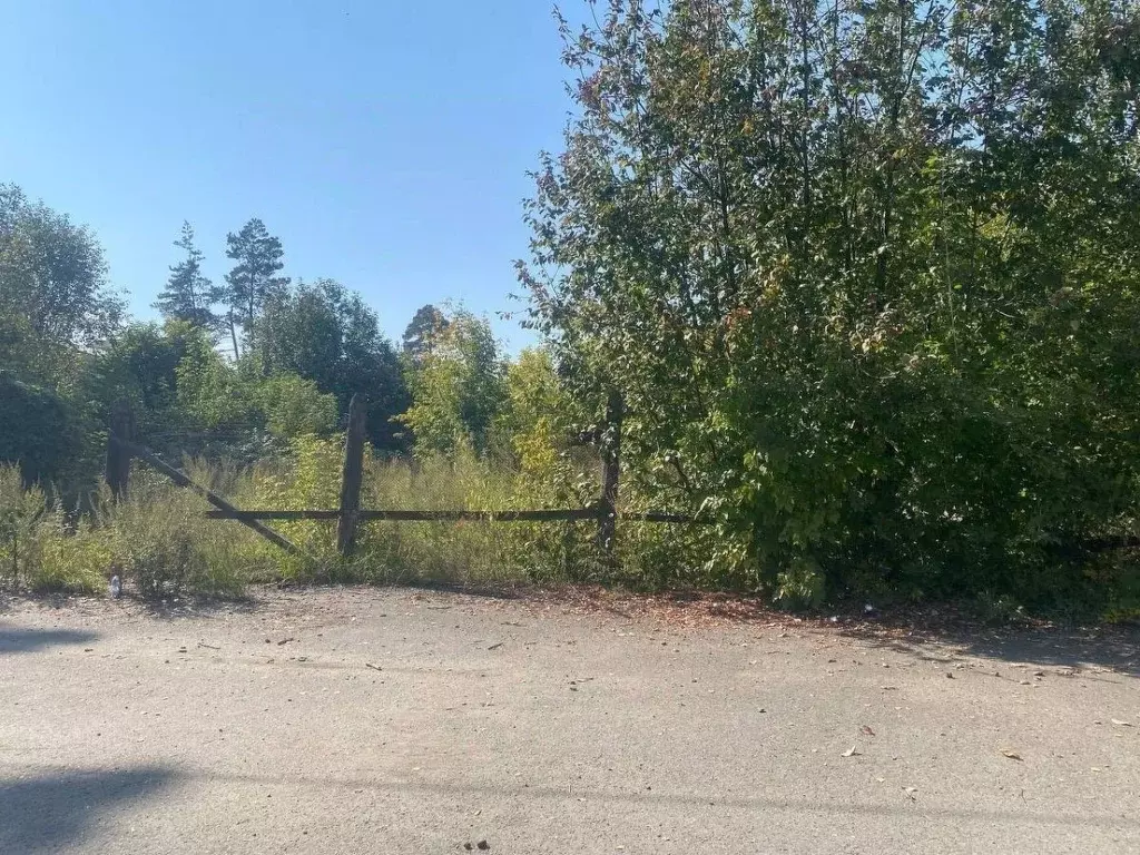 Участок в Алтайский край, Бийский район, с. Лесное Лесная ул., 20А ... - Фото 2