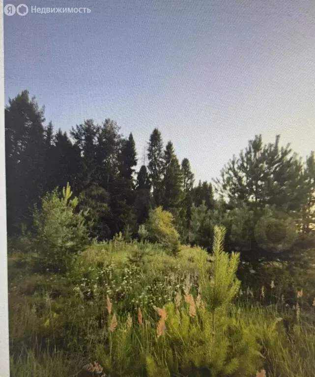 Участок в Шихово, Лесная улица (23.68 м) - Фото 1