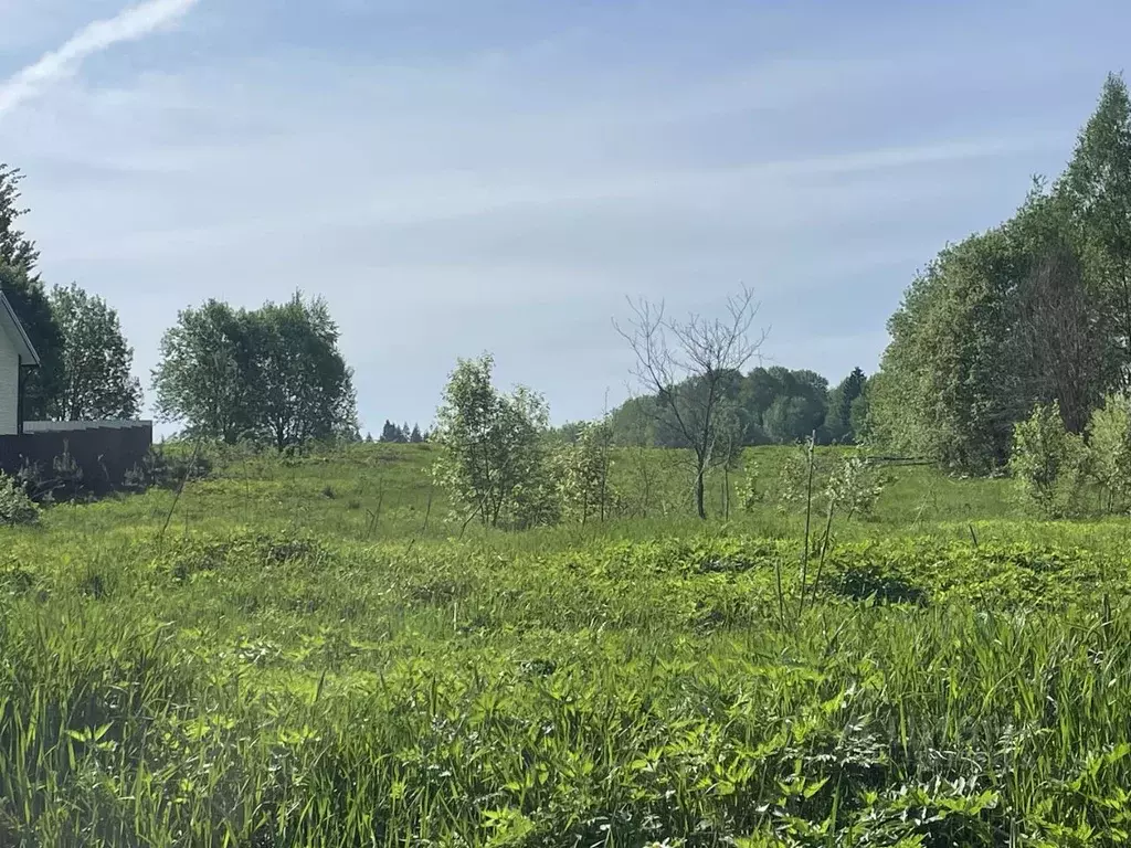 Участок в Московская область, Сергиево-Посадский городской округ, д. ... - Фото 1