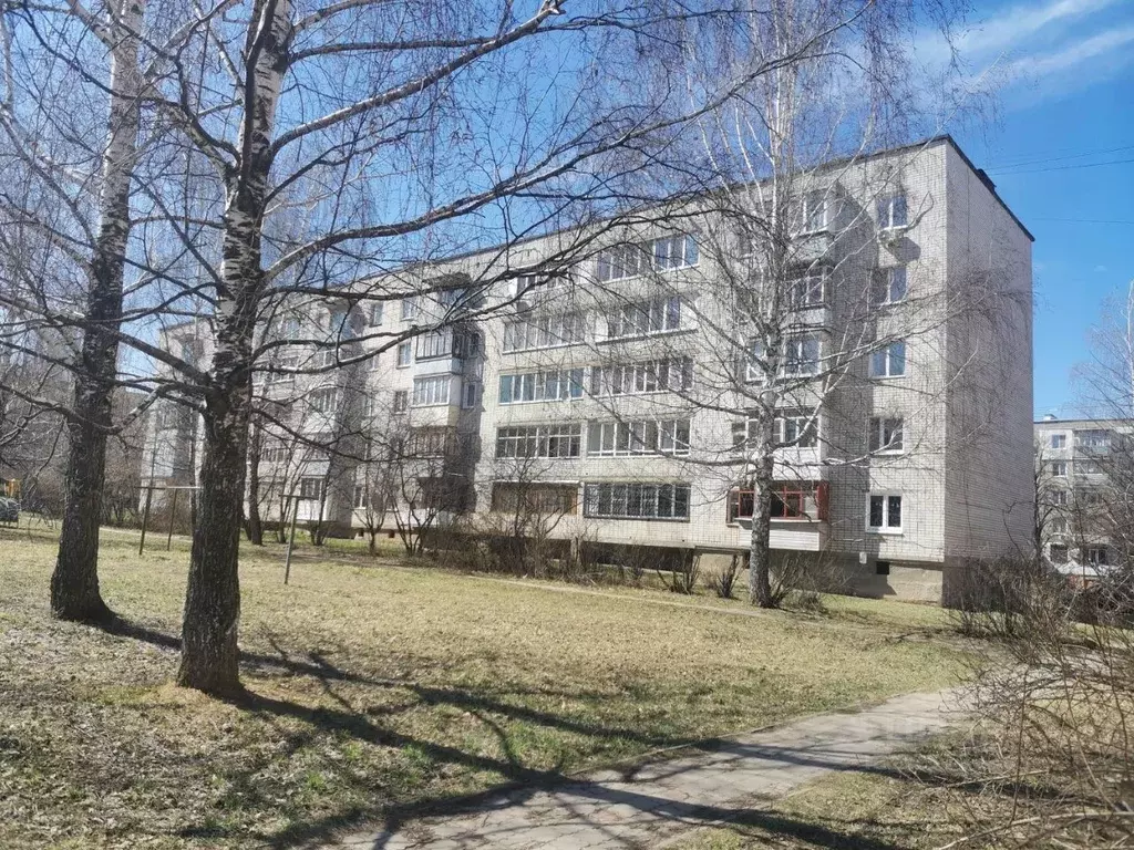 2-к кв. Нижегородская область, Кстово Зеленая ул., 5А (53.7 м) - Фото 0