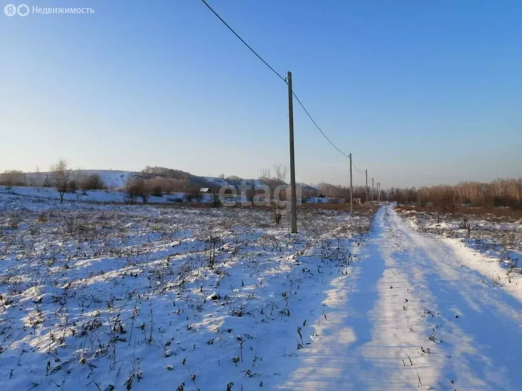 Участок в Горно-Алтайск, Сосновая улица (20 м) - Фото 0