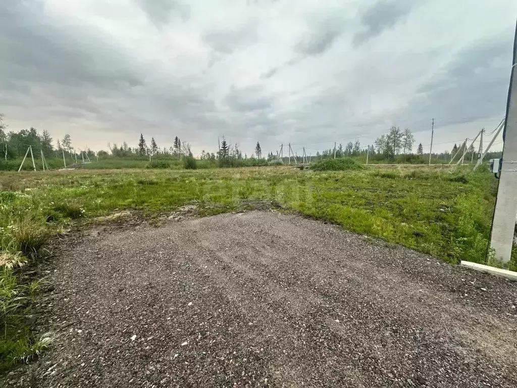 Участок в Ленинградская область, Всеволожский район, Агалатовское ... - Фото 0