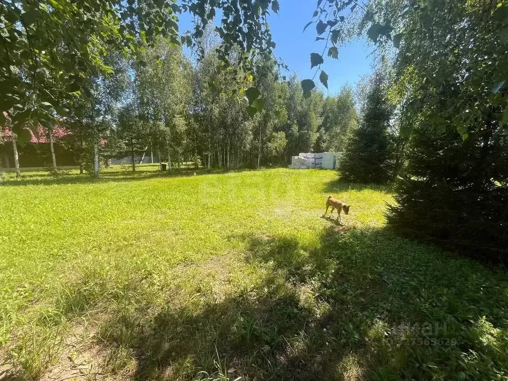 Участок в Тверская область, Калининский муниципальный округ, д. ... - Фото 2