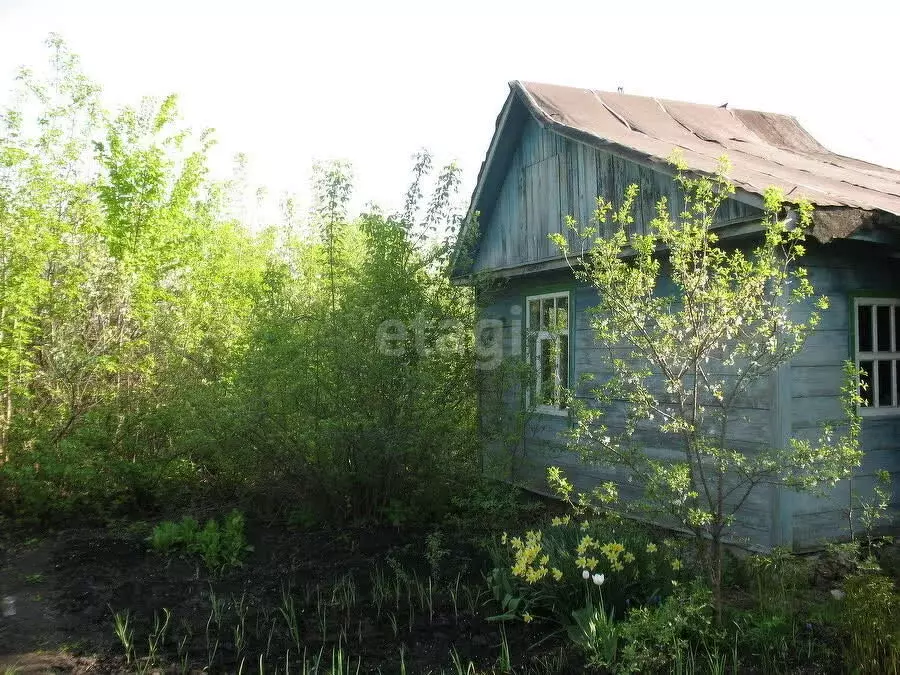 Участок в Пенза, садовое некоммерческое товарищество Казённый Сад (6.8 ... - Фото 1