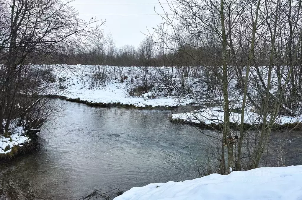 Участок в Ленинградская область, Ломоносовский район, Ропшинское ... - Фото 2