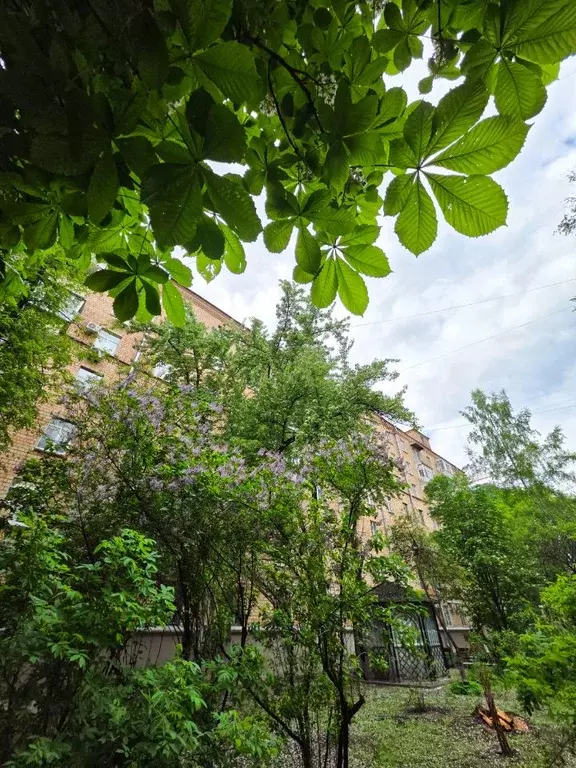 2-к кв. Москва Большой Тишинский пер., 26к13-14 (62.5 м) - Фото 2