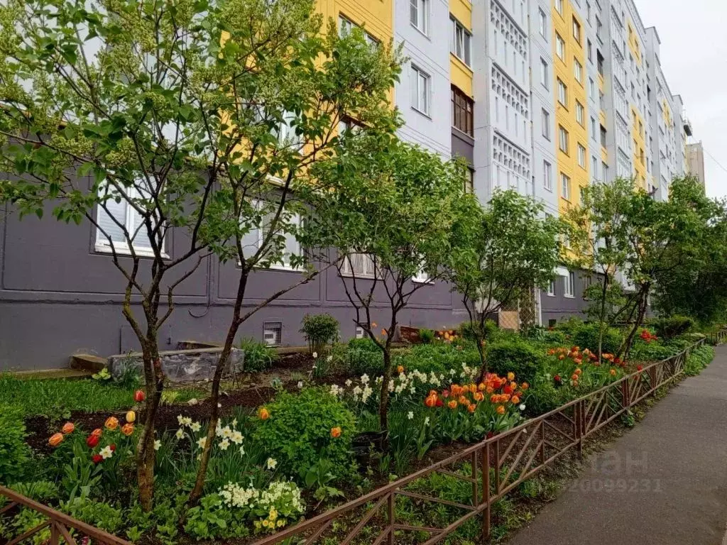 3-к кв. Костромская область, Кострома Магистральная ул., 39 (65.0 м) - Фото 1