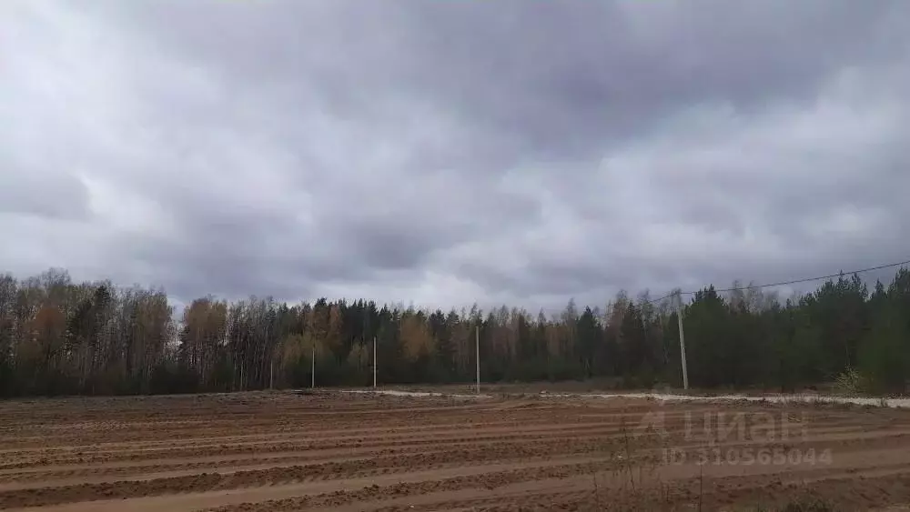 Участок в Владимирская область, Судогодский район, Вяткинское ... - Фото 0